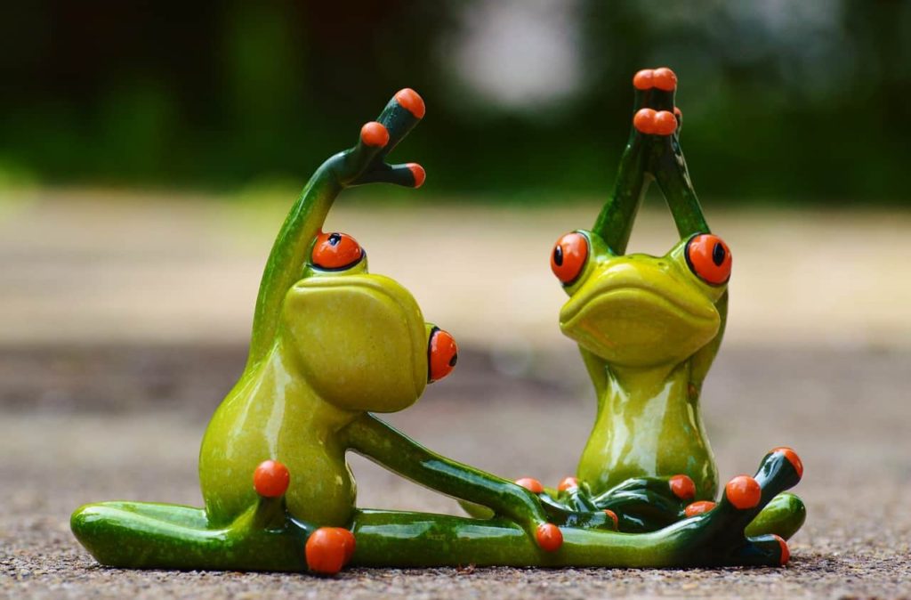 Fitness grenouilles