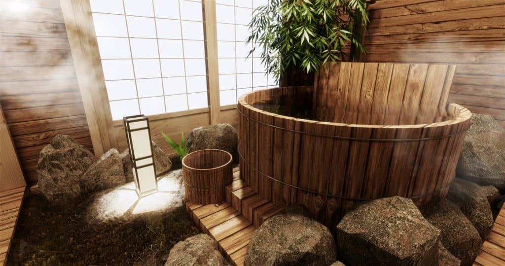 Spa avec un bain nordique chaleur, plante et détente